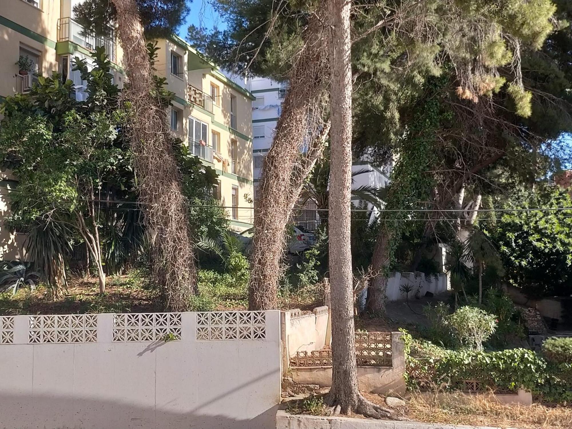Terraza Del Bajondillo Torremolinos Lägenhet Exteriör bild